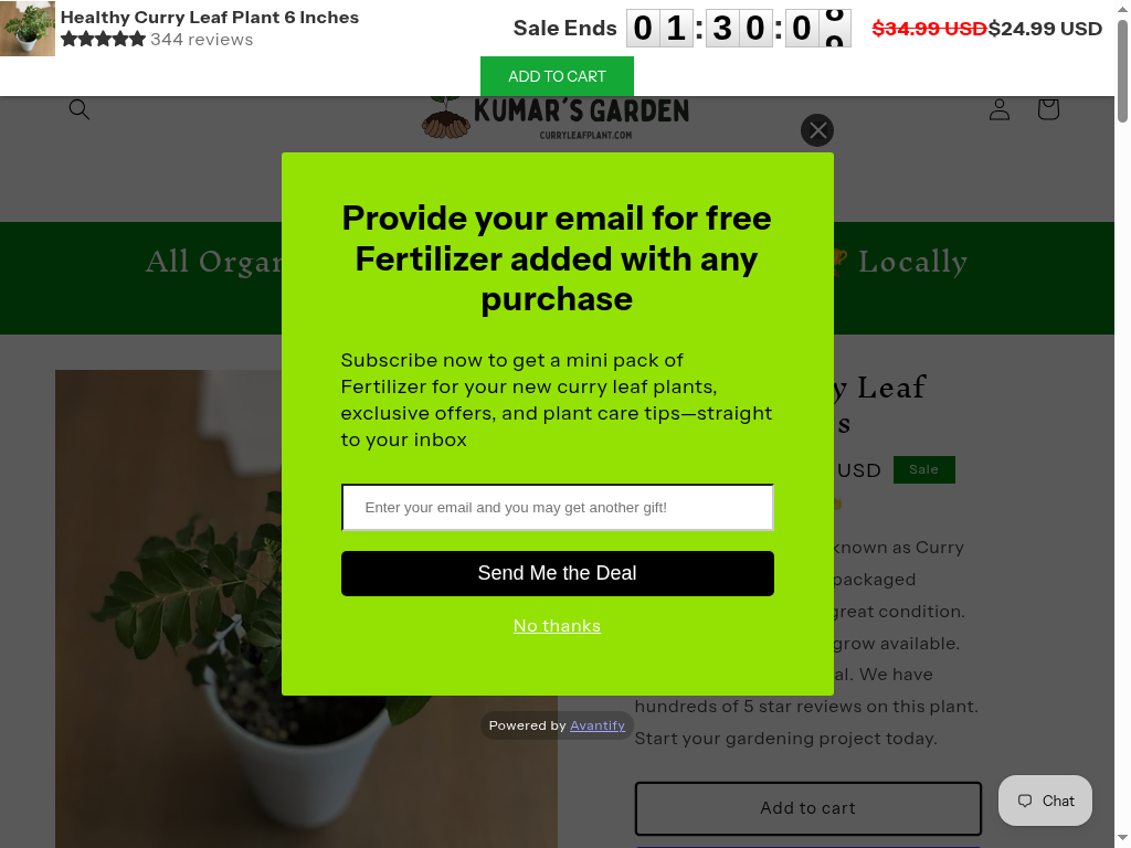 CurryLeafPlantsbyKumarsGarden