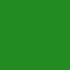 Curry Leaf Plants by Kumars Garden