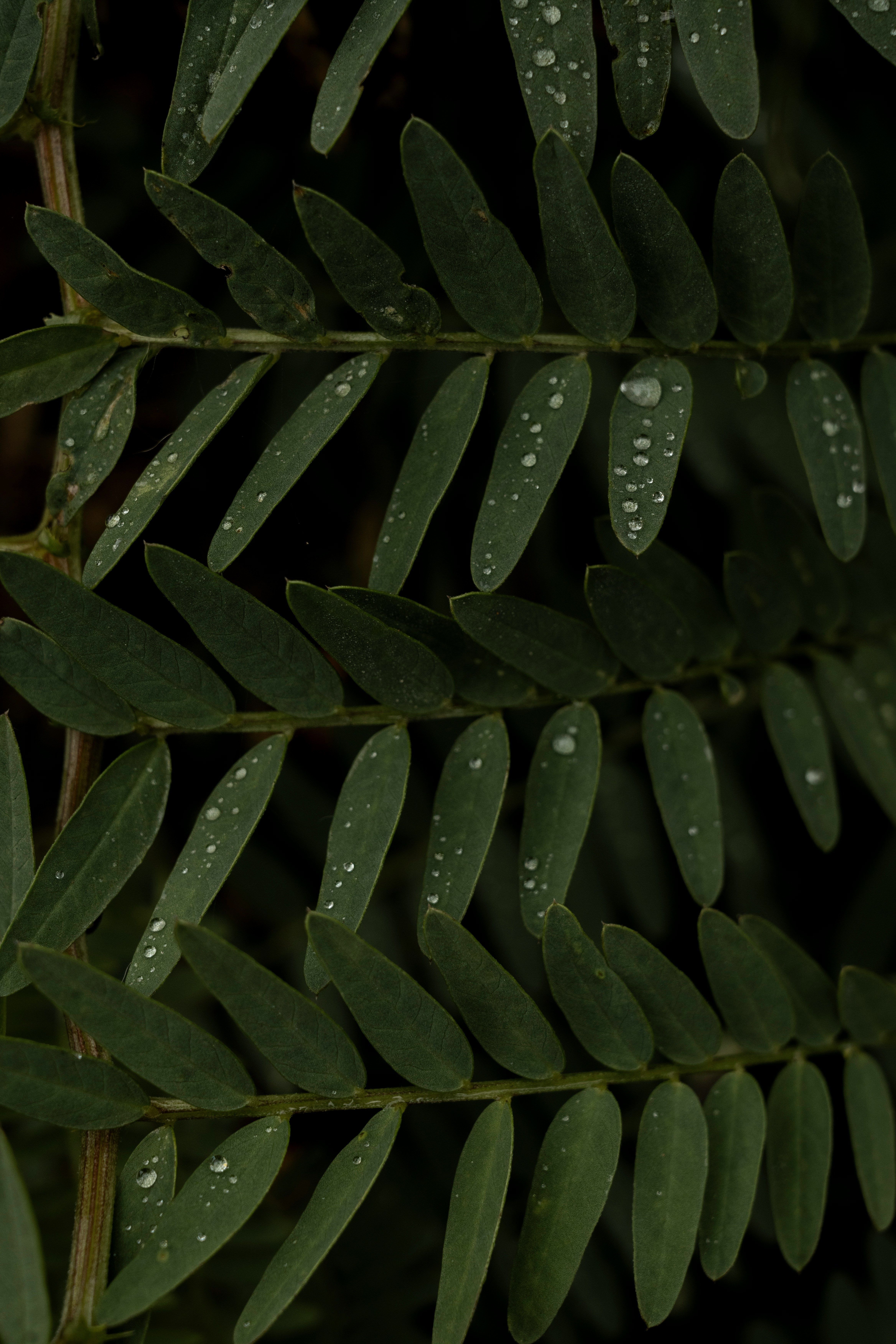[(GUÍA~Volaris%Teléfono]¿Cómo puedo hablar con un asesor Volaris?